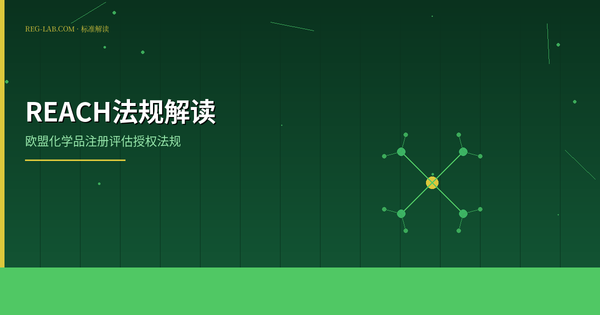 REACH法规详解：欧盟化学品注册评估授权全攻略